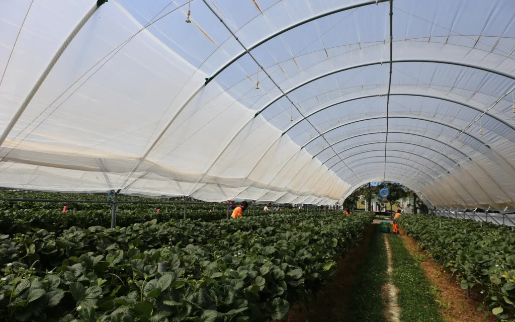 Farming Success Story